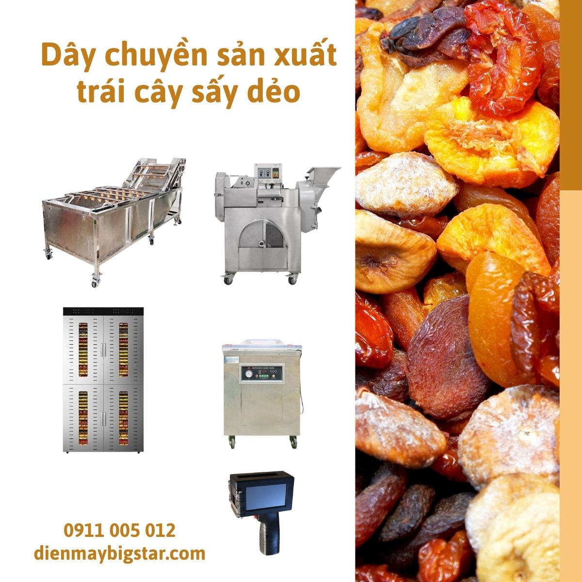 Dây chuyền sản xuất trái cây sấy dẻo