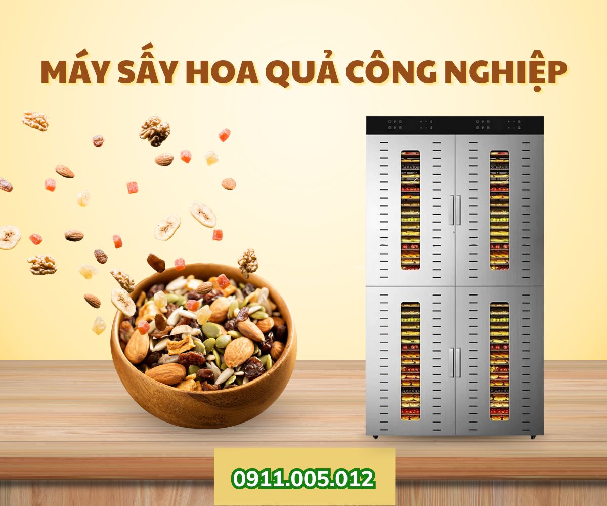 Máy sấy hoa quả công nghiệp