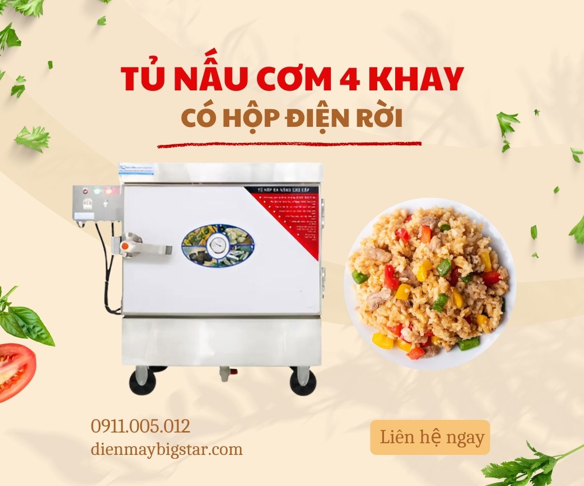 Tủ nấu cơm 4 khay có hộp điện rời